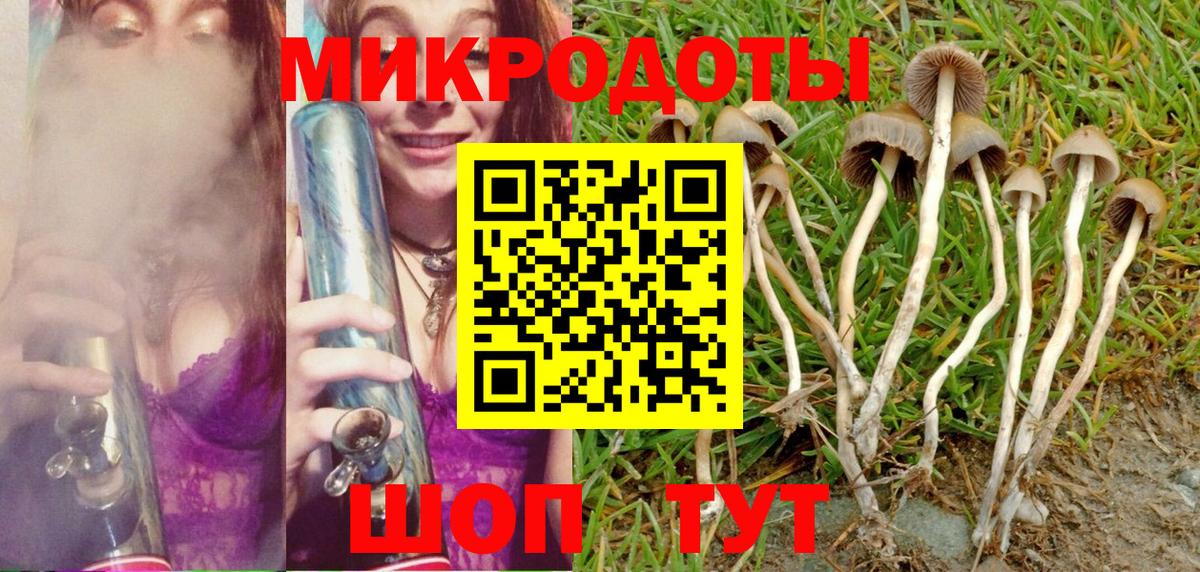 Псилоцибиновые грибы Cubensis Сокол