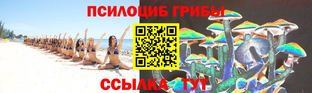 Галлюциногенные грибы Cubensis  Галлюциногенные грибы мухоморы  Сокол  Вход с VPN 
